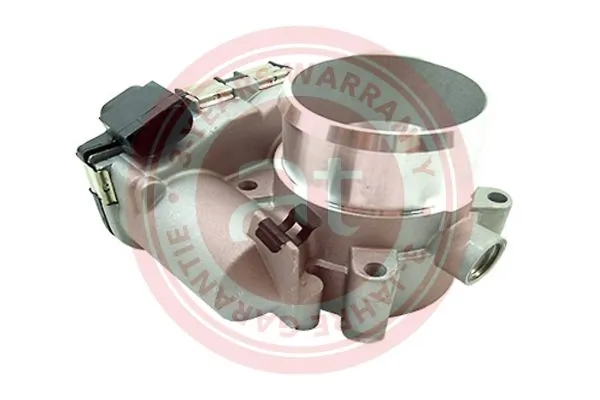 Throttle Body at23194