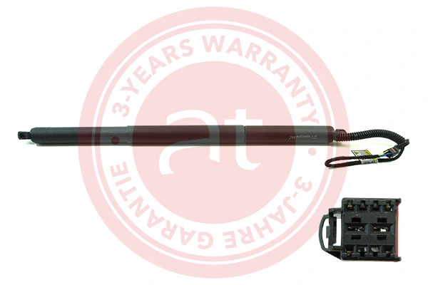 Electric Motor, tailgate at11933