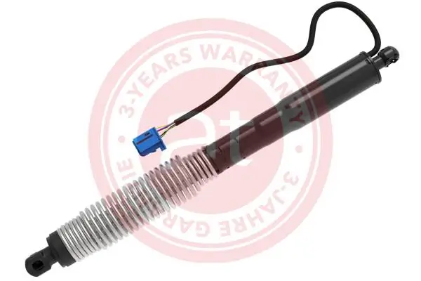 Electric Motor, tailgate at14186