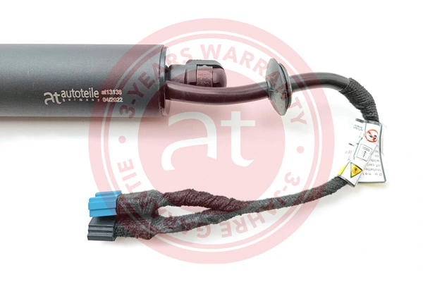 Electric Motor, tailgate at13138