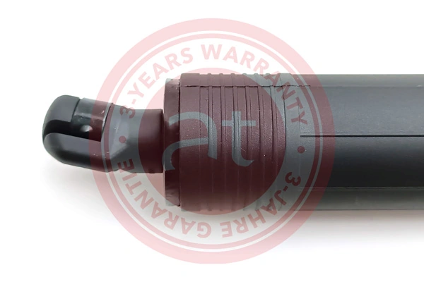 Electric Motor, tailgate at13137