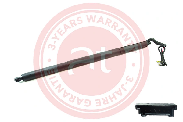 Electric Motor, tailgate at11907