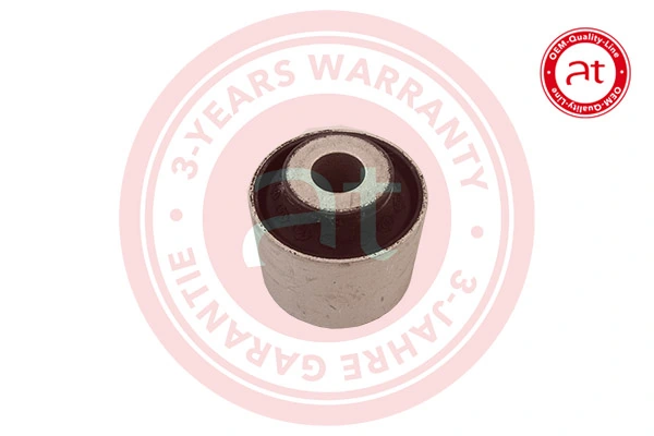 Mounting, control/trailing arm at11654