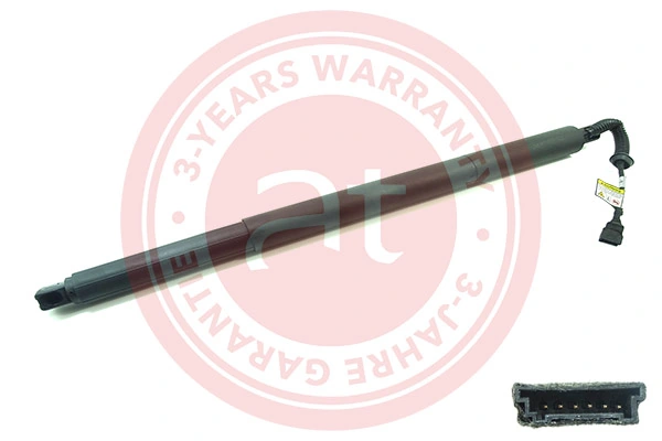 Electric Motor, tailgate at11916