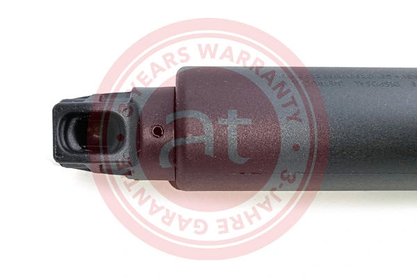 Electric Motor, tailgate at13182