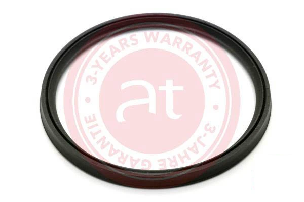 Seal Ring, charge air hose OEM - Quality - Line at23810