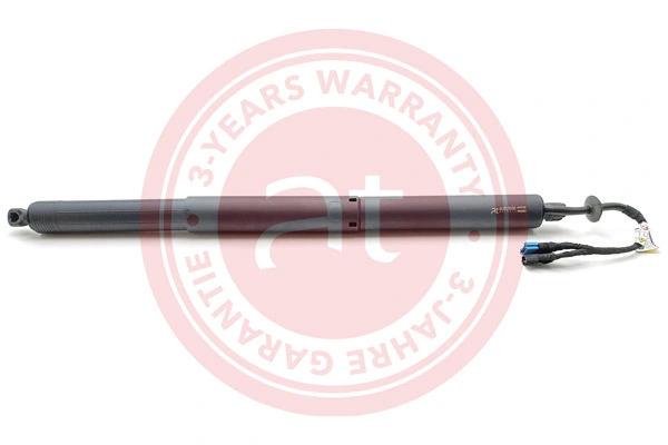 Electric Motor, tailgate at13138