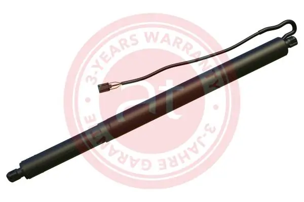 Electric Motor, tailgate at11952