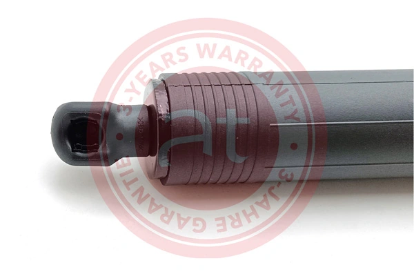 Electric Motor, tailgate at13138