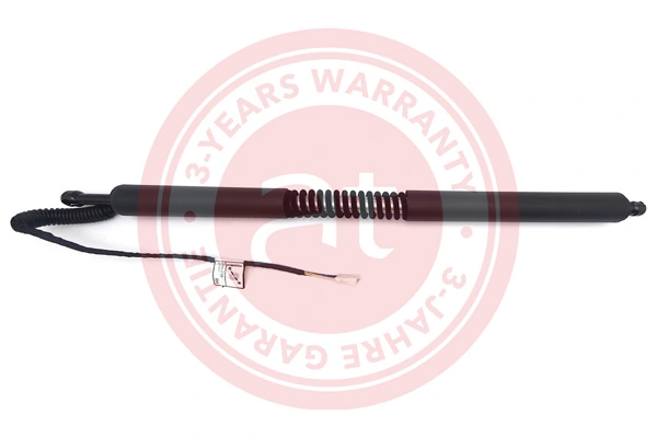 Electric Motor, tailgate at13135