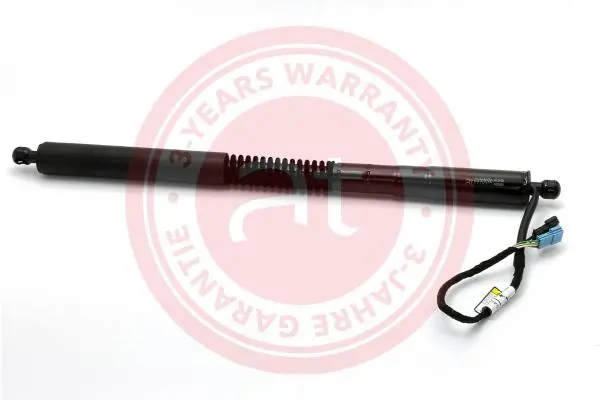 Electric Motor, tailgate at13133