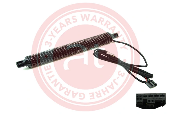 Electric Motor, tailgate at11911