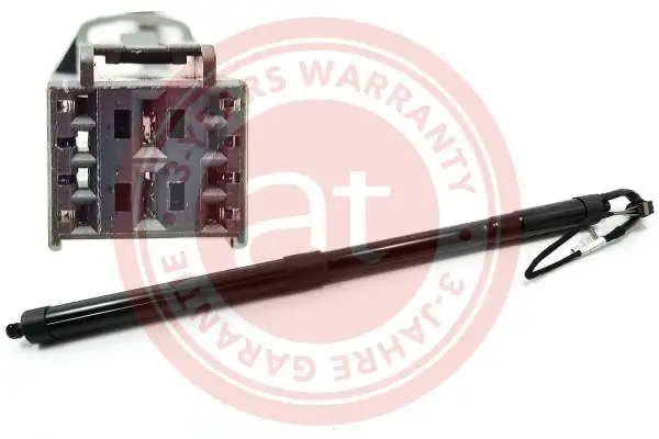 Electric Motor, tailgate at11941