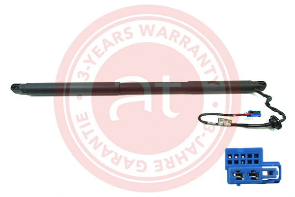 Electric Motor, tailgate at11924