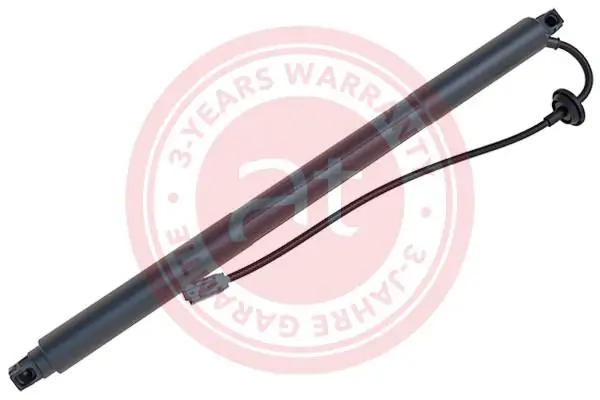 Electric Motor, tailgate at11944