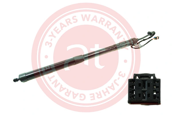 Electric Motor, tailgate at11930