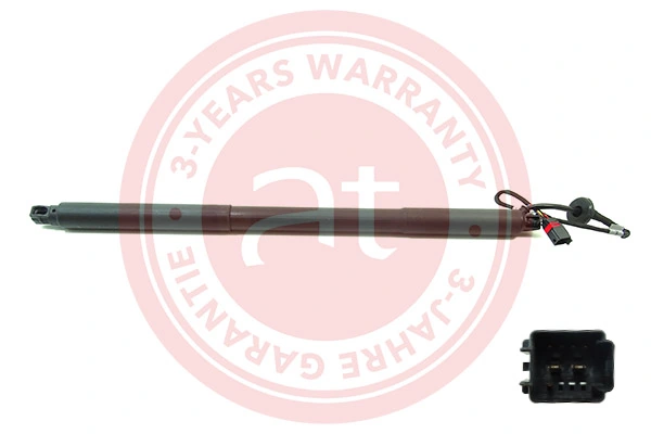 Electric Motor, tailgate at11944