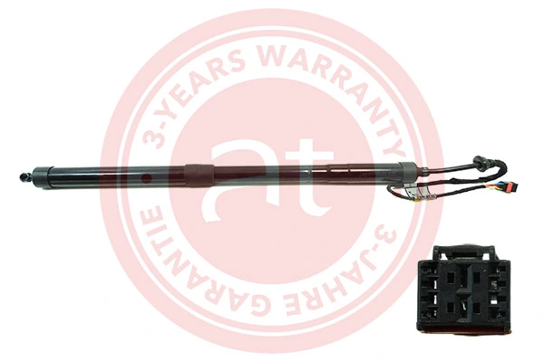 Electric Motor, tailgate at11930