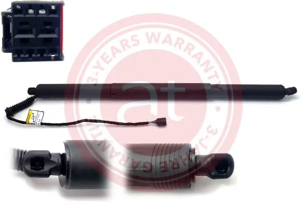 Electric Motor, tailgate at11937