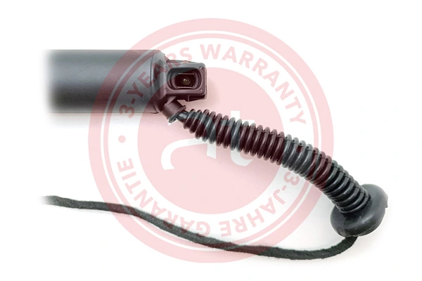 Electric Motor, tailgate at13279