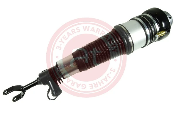 Air Suspension Strut at10498