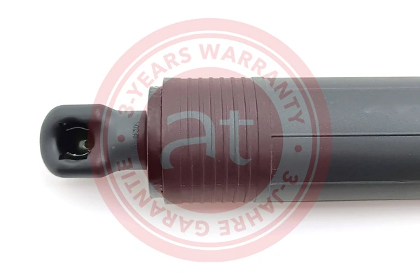 Electric Motor, tailgate at13137