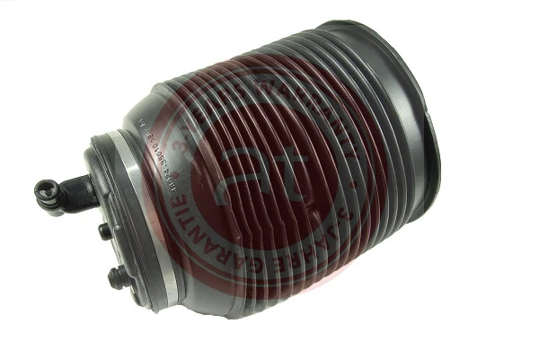 Air Spring, suspension at10867