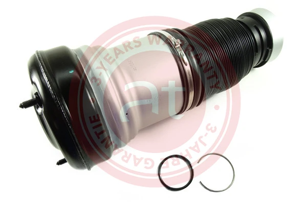 Air Spring, suspension at10541