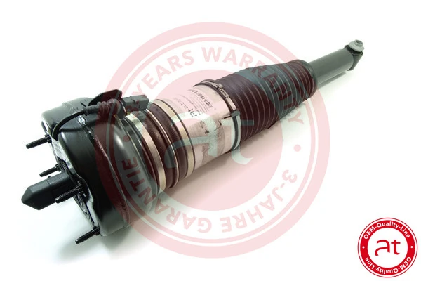 Air Suspension Strut at10274