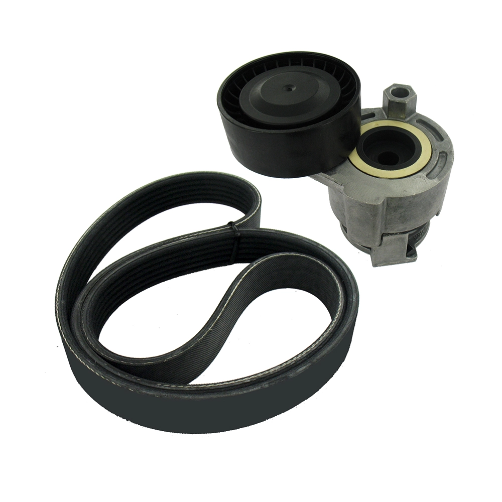 V-Ribbed Belt Set 8660004386