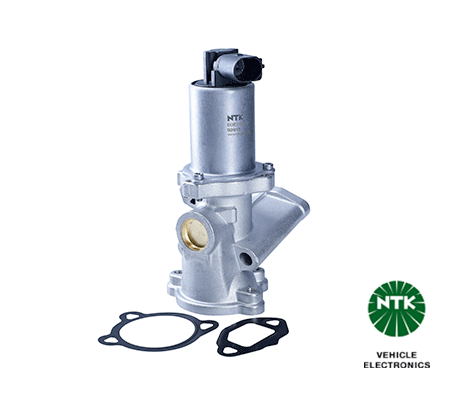 EGR Valve 92915