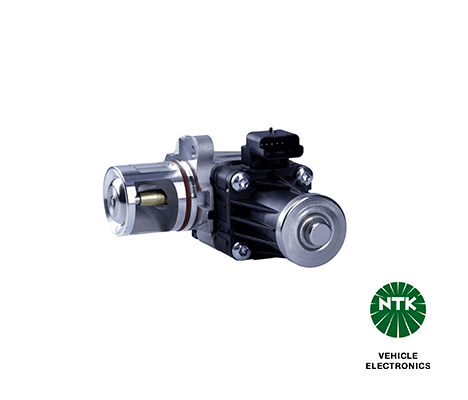 EGR Valve 93980