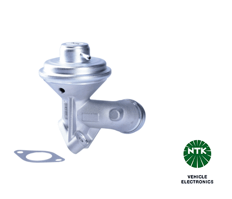 EGR Valve 95013