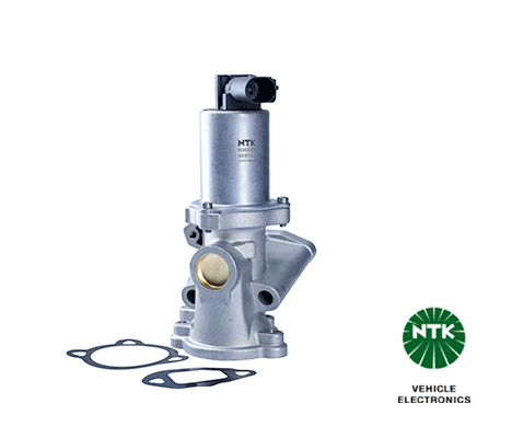 EGR Valve 92574