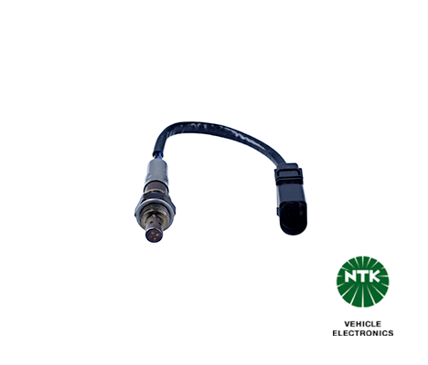 Oxygen Sensor 0031