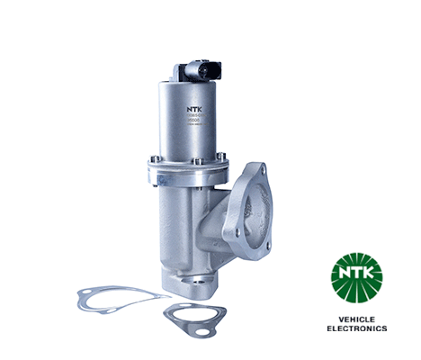 EGR Valve 95506
