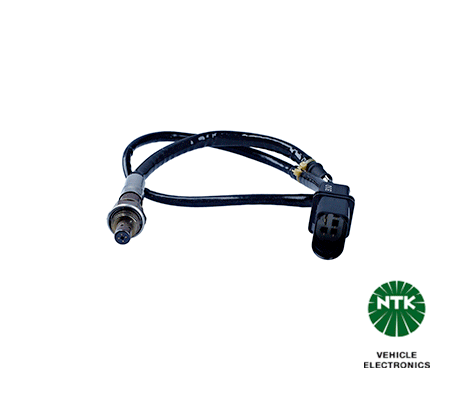 Oxygen Sensor 1842
