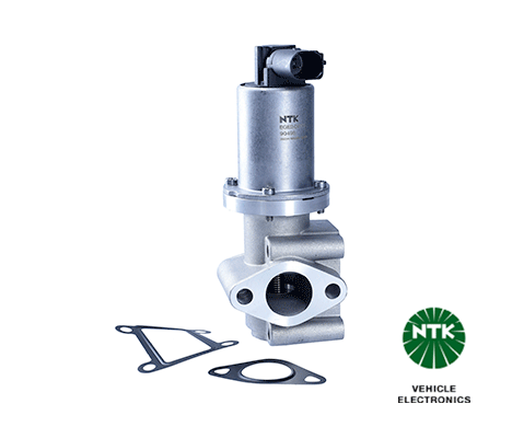 EGR Valve 90498