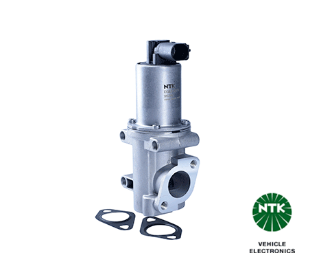 EGR Valve 95269