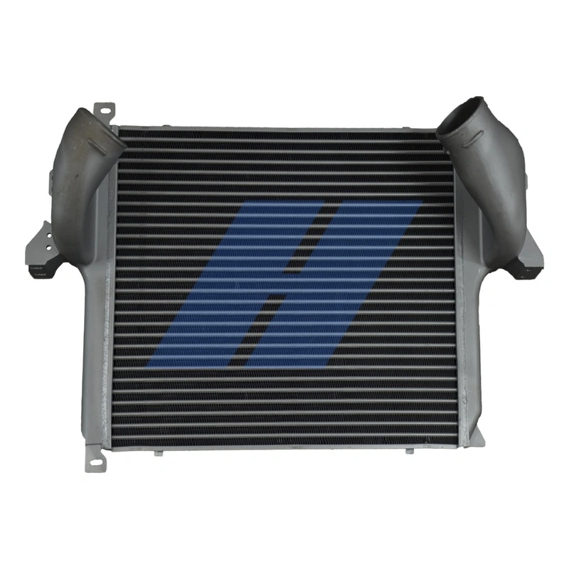Charge Air Cooler 20033026