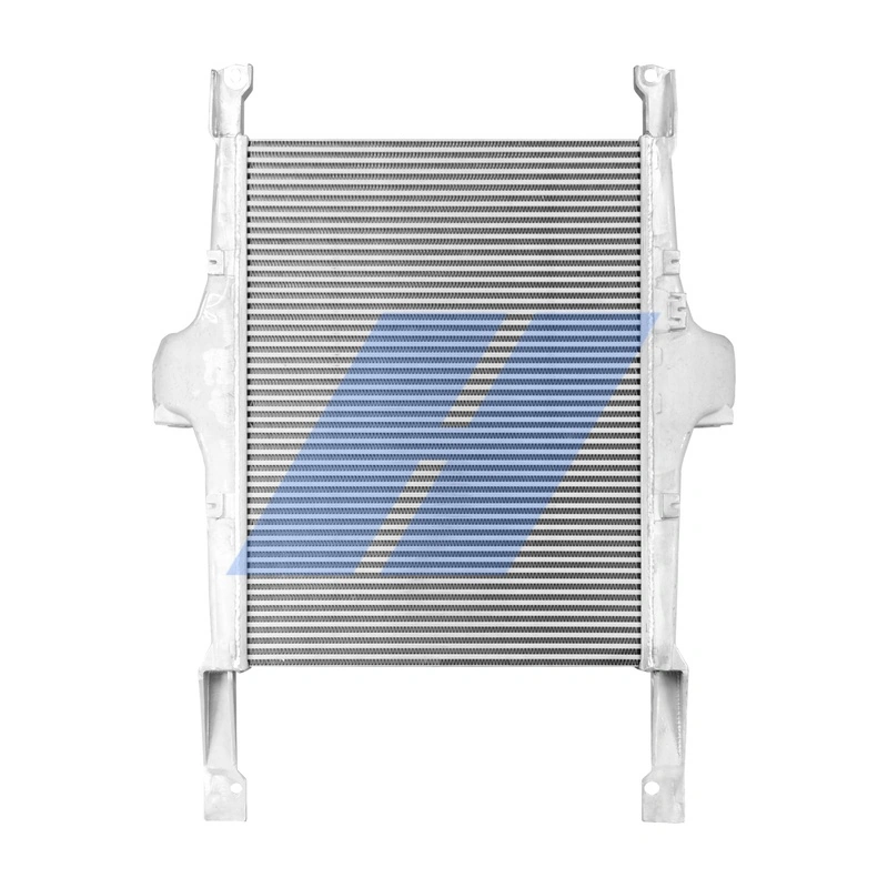 Charge Air Cooler 20021010