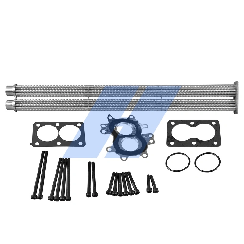 Repair Set, EGR module 29031102