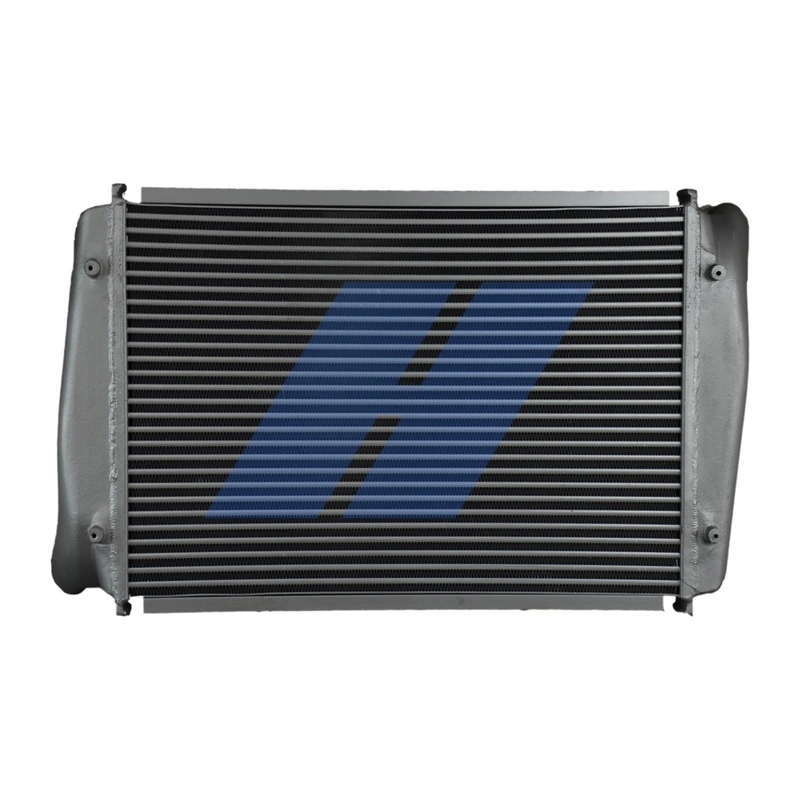 Charge Air Cooler 20057004