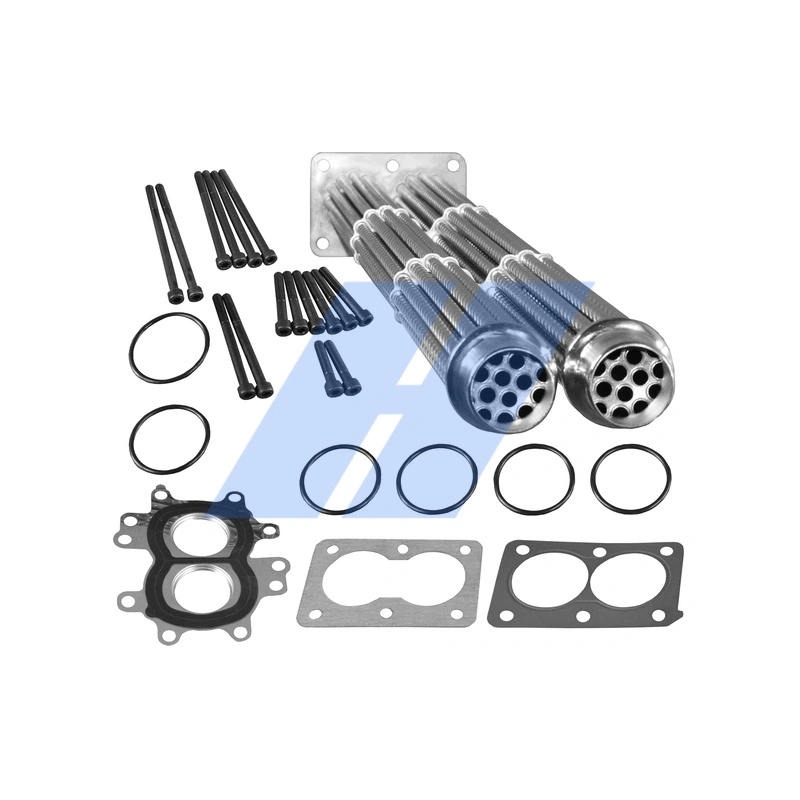 Repair Set, EGR module 29031109