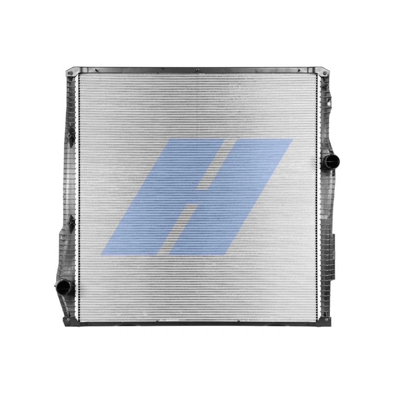 Radiator, engine cooling 10045011