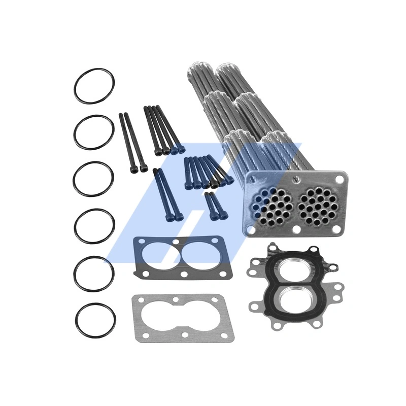 Repair Set, EGR module 29031109