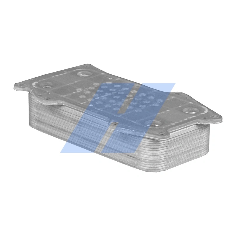 Oil Cooler, engine oil 30041002