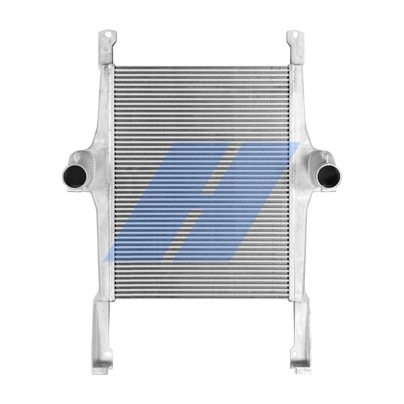 Charge Air Cooler 20021010
