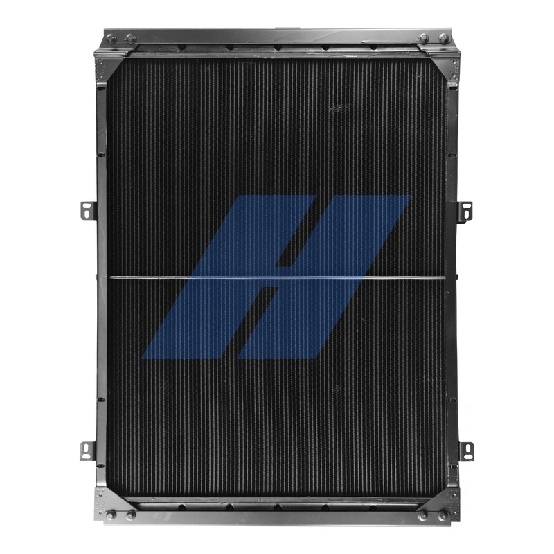 Radiator, engine cooling 10031054