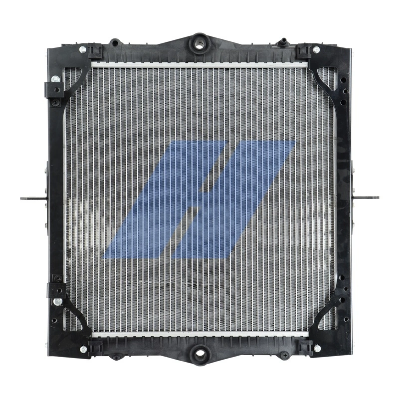 Radiator, engine cooling 10011016